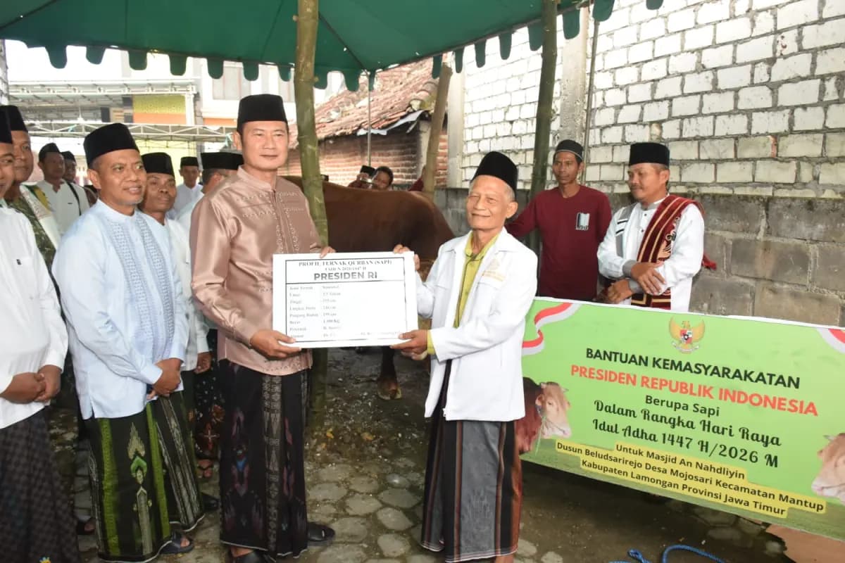 Idul Adha 1447 H, Warga Lamongan Terima Sapi Kurban Jumbo dari Presiden Prabowo