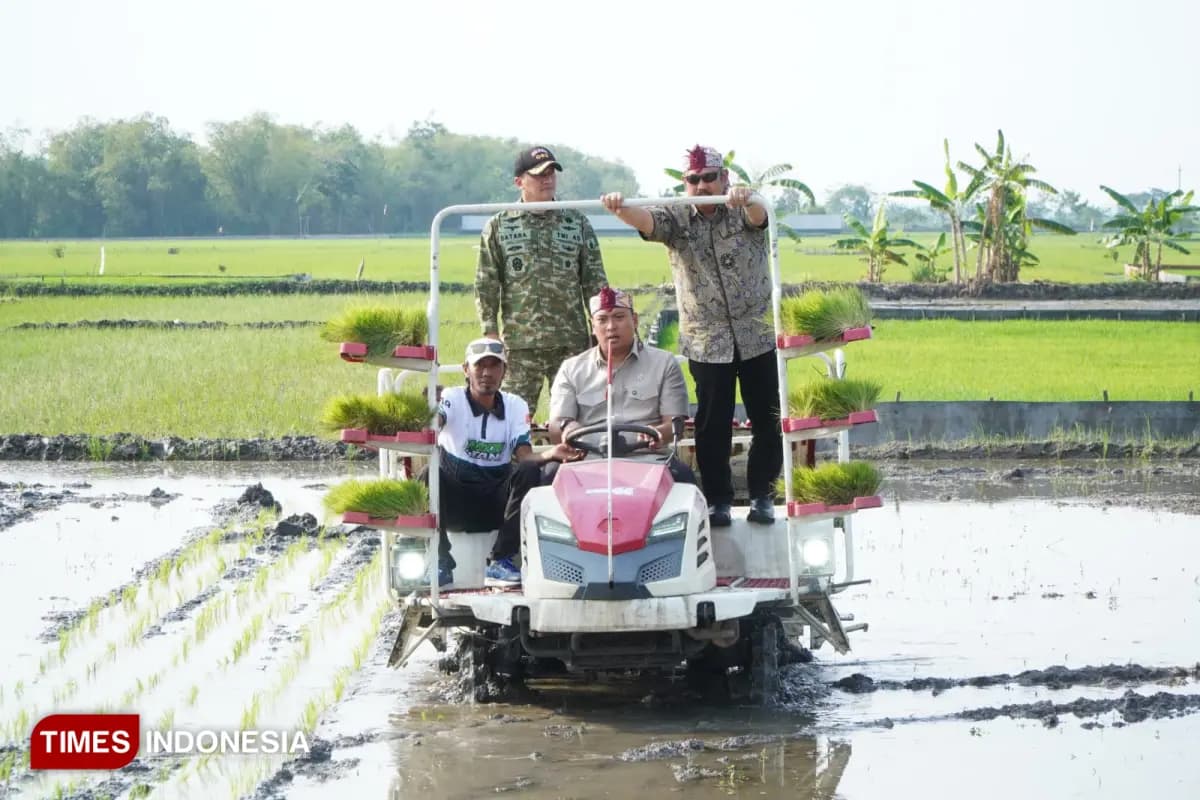 Dongkrak Produktivitas dan Hilirisasi Pertanian di Lamongan, Pemerintah Kucurkan Bantuan Alsintan Modern